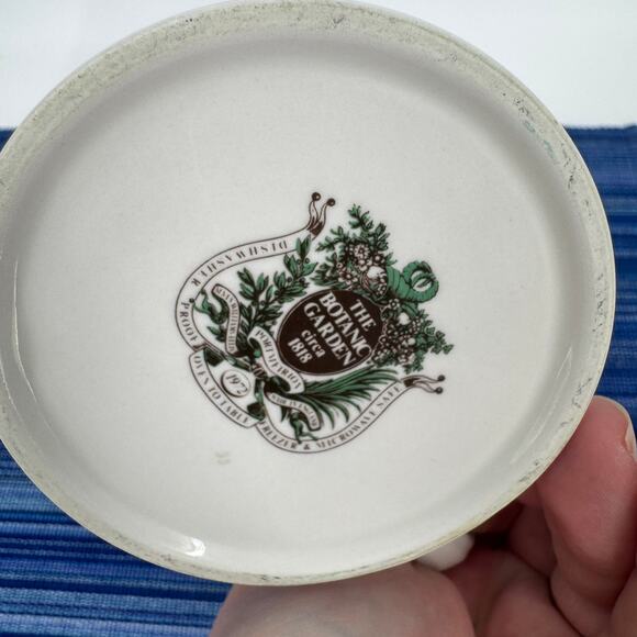 Portmeirion Botanic Garden Tea Cups Mugs 8 oz Cytisus Scoparius Broom Set of 2 - Picture 9 of 12